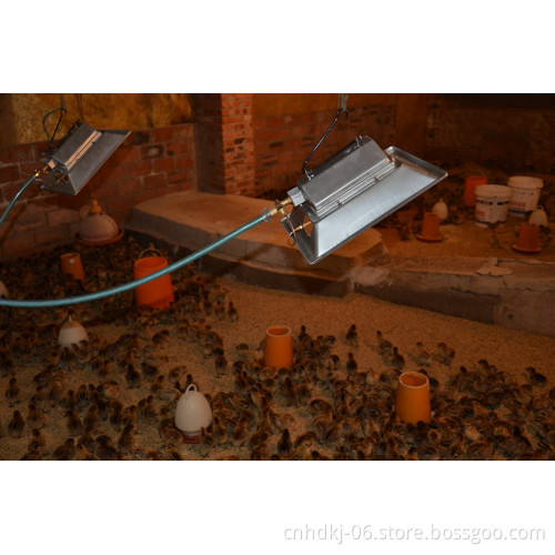Biogas poultry incubator chicken brooder for sale THD2608